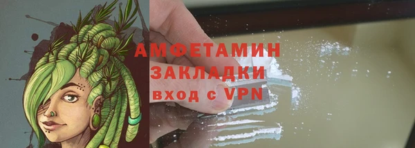 прущие грибы Волосово