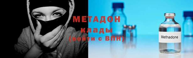 прущие грибы Вязьма