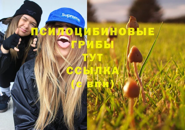 гидропоника Волоколамск
